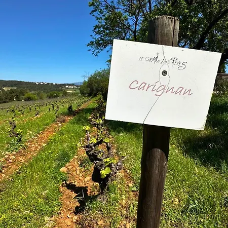 Le Carignan * Saint-Gely-du-Fesc