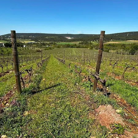 Le Carignan