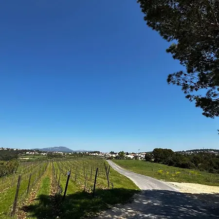 Holiday home Le Carignan *